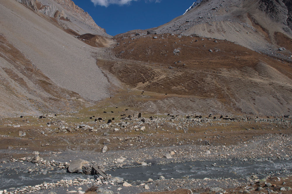Un camp intermédiaire pour bien couper la montée au camp de base. Derrière le col vers le Tibet... 