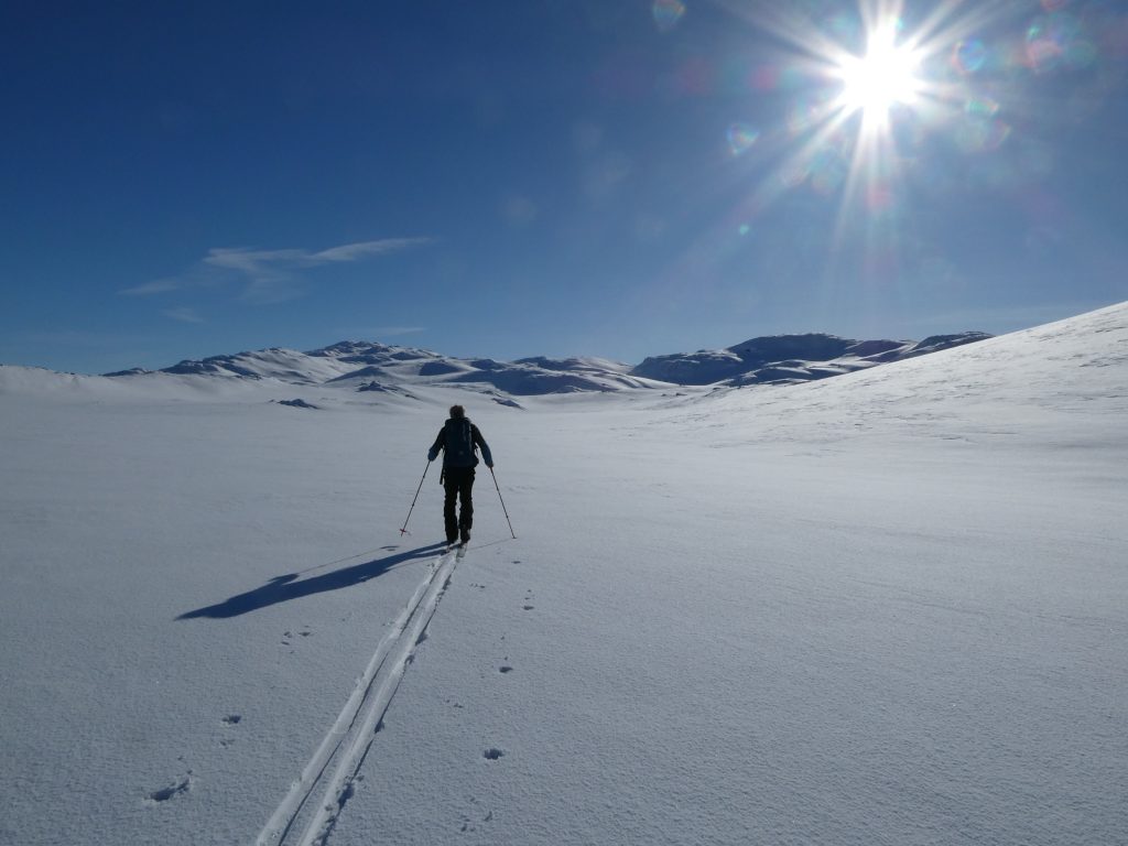 Norvège à ski