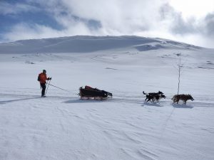 Norway traverse