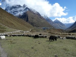 Peri Himal