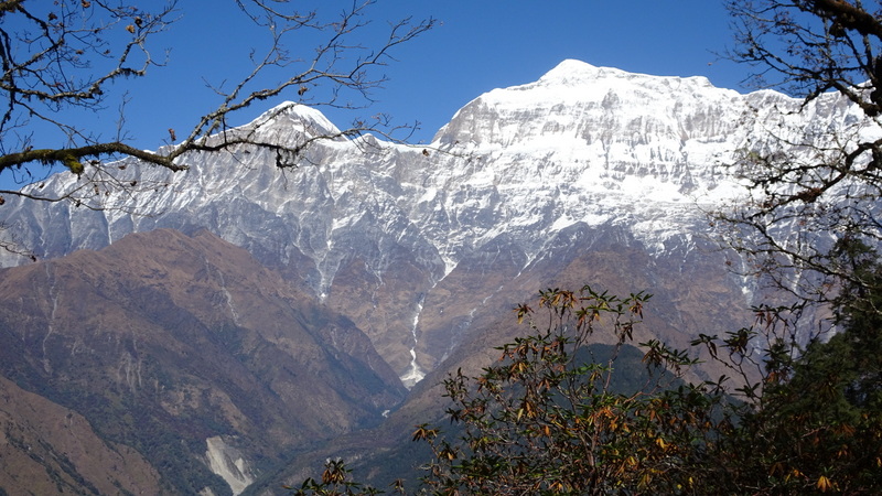 Gurja Himal