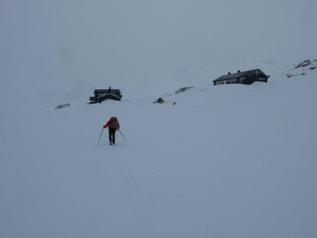 Ski de randonnée nordique en Norvège
