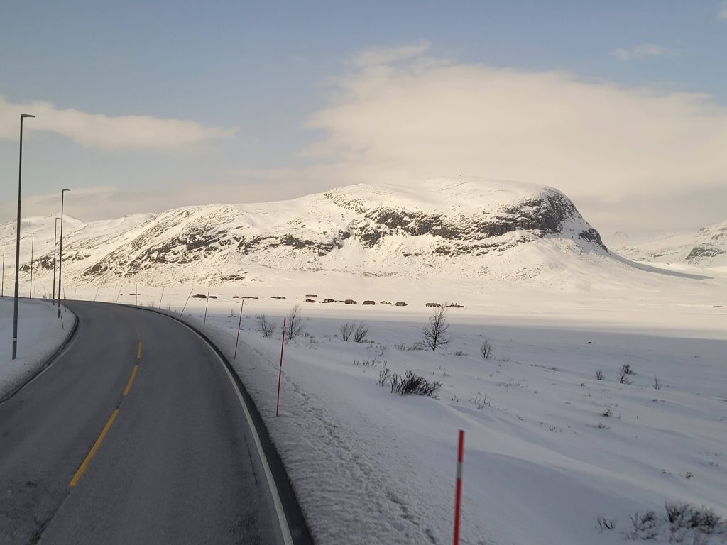 Ski de randonnée nordique en Norvège