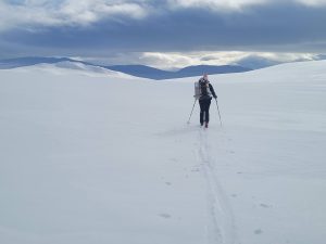 ki de randonnée nordique en Norvège