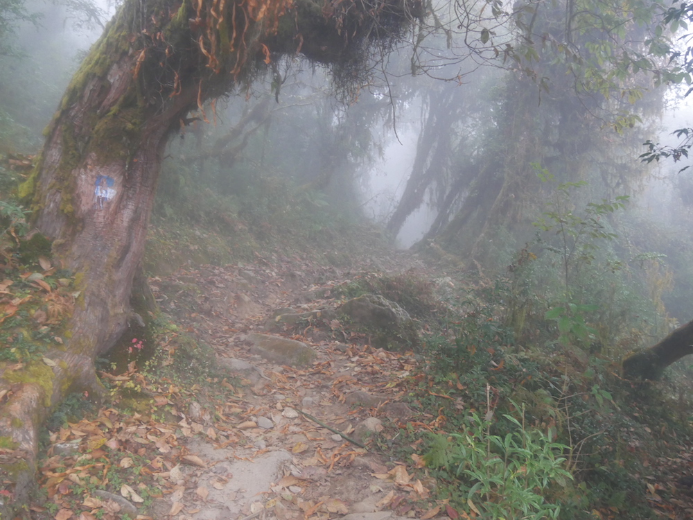 mardi himal